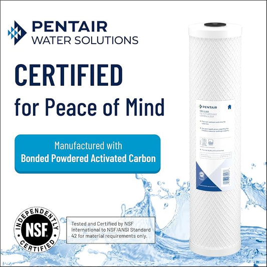 Pentair Pentek CBC-BB Big Blue Carbon Water Filter, Whole House Heavy Duty - Image 2