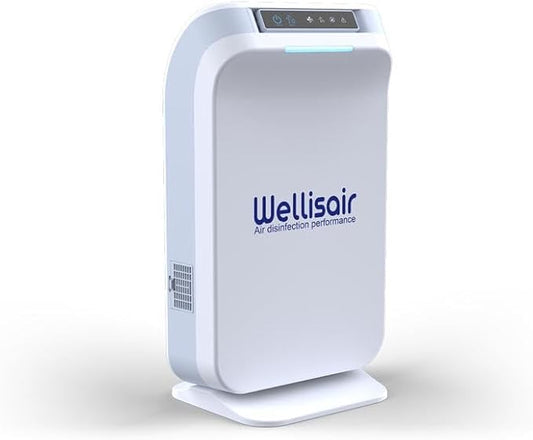 Wellis Air Purifier for Home, Electric HEPA Filter, Large 14.5x8.6x5.9 Inches - Image 2