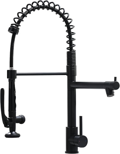 Fapully Black Kitchen Faucet, Commercial Pull Down Kitchen Sink Faucet by Fapully