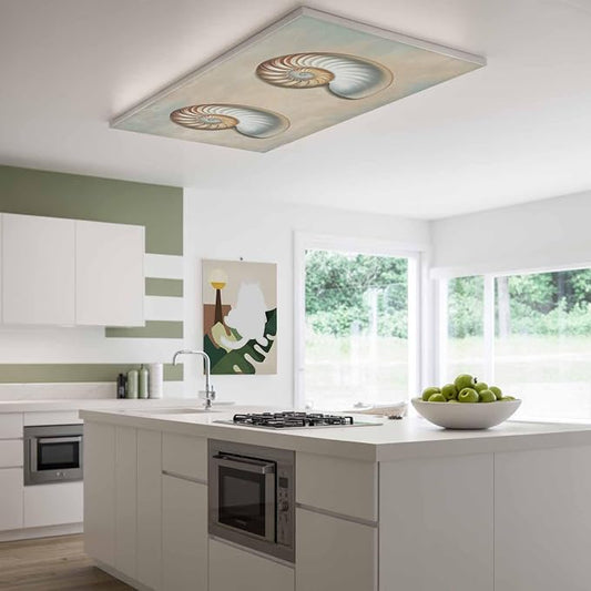 Fluorescent Light Covers for Ceiling Lights Shell Conch Magnetic Light Filters - Image 2