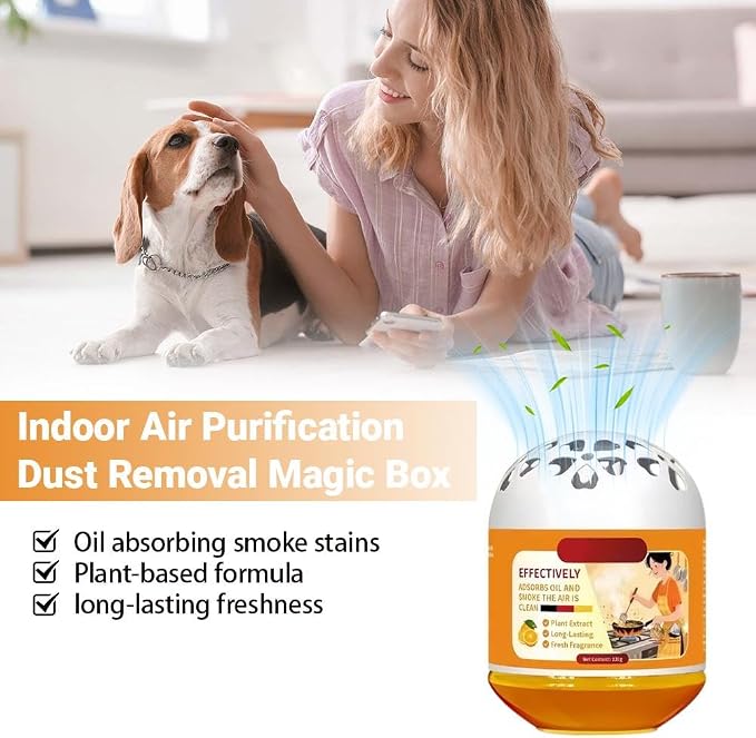 Indoor Air Purification Dust Removal Magic Box, Long-Lasting Airs Purification - Image 6