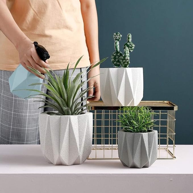 Outdoor Succulent Plantpot Cactus Plant Container Cement Flowerpot Container - Image 5