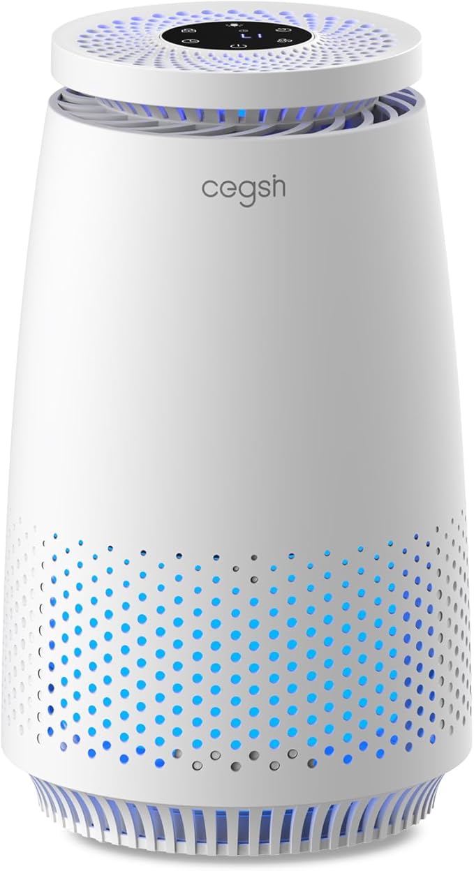 Air Purifiers for Home Bedroom, 3-in-1 HEPA Filter for Pets Dander Dust Pollen by MeansSimpleLife