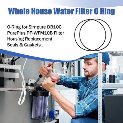 Whole House Water Filter O Ring 10"X4.5" - Image 2