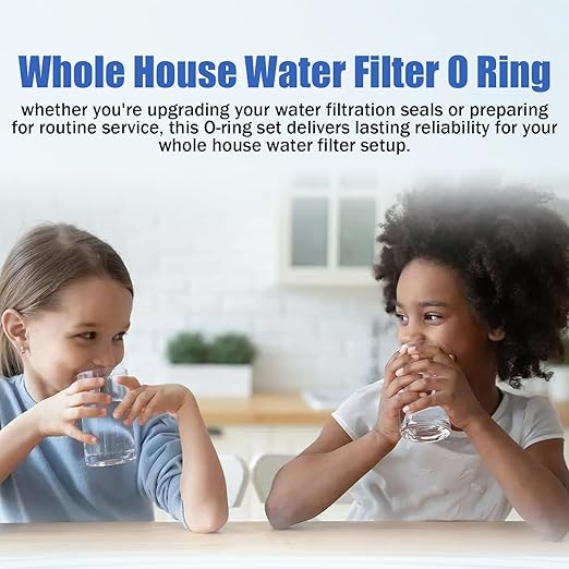 Whole House Water Filter O Ring 10"X4.5" - Image 7