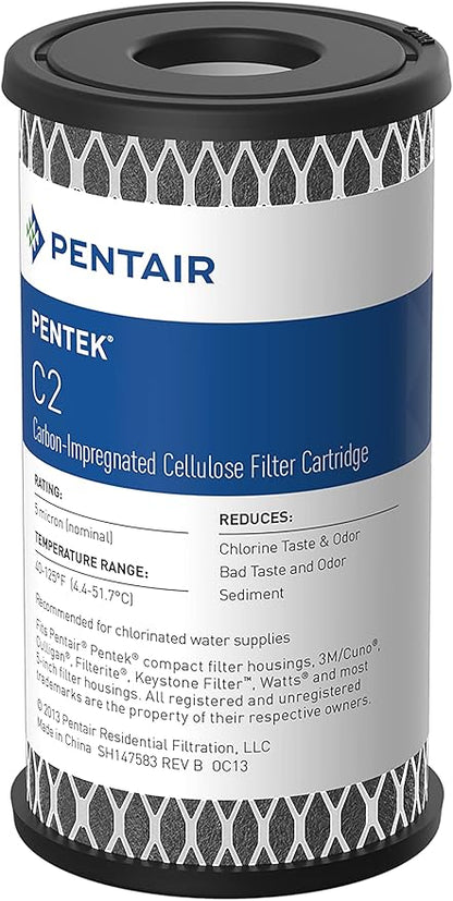 Pentair Pentek C2 Carbon Water Filter, Under Sink Dual Purpose Powdered by PENTAIRPENTEK