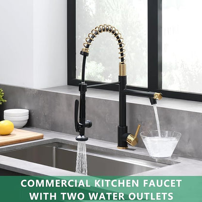 Fapully Black&Gold Kitchen Faucet - Image 3