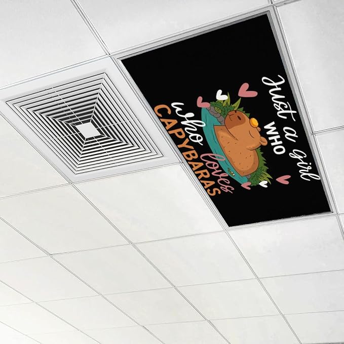 6 Pcs Fluorescent Light Covers for Ceiling Lights Cute Capybara Gifts Hearts - Image 6