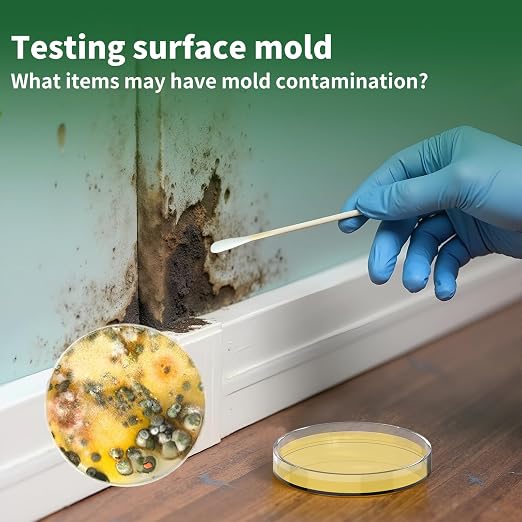 Mold Test Kit for Home -12 Simple Mold Test kit, Test HVAC System, Surfaces & - Image 6