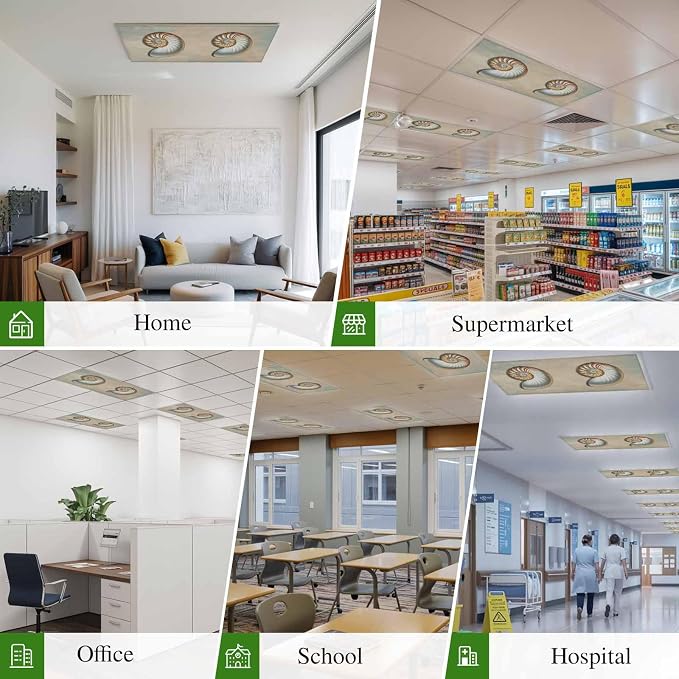 Fluorescent Light Covers for Ceiling Lights Shell Conch Magnetic Light Filters - Image 6