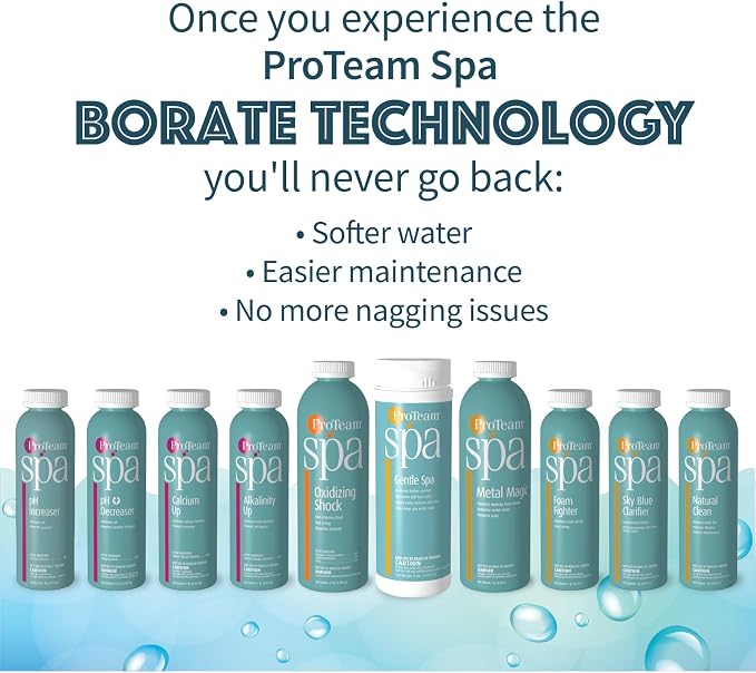 Proteam Spa Filter Clean - Image 6