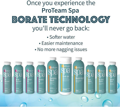 Proteam Spa Filter Clean - Image 6
