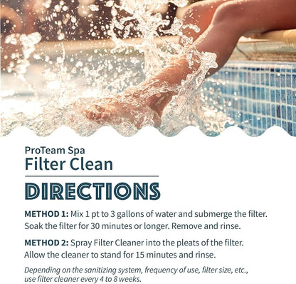 Proteam Spa Filter Clean - Image 4