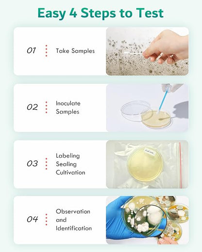 Mold Test Kit for Home - Image 4