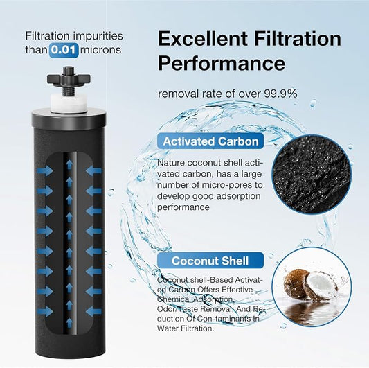 Black Purification Elements Replacement - Image 2