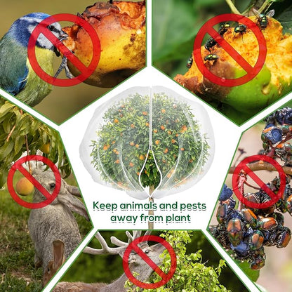 2PCS 7.8 x 7.8ft Large Fruit Tree Netting Cover - Image 4