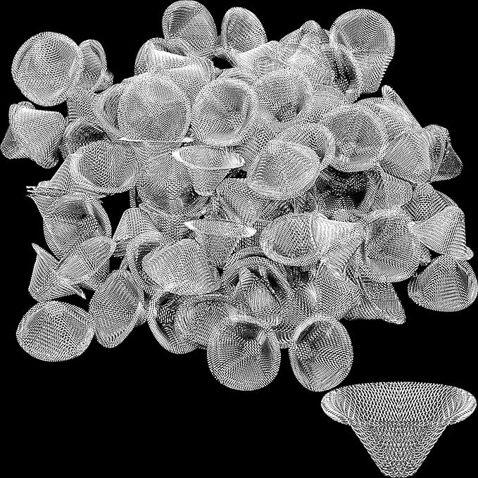 Funrous Stainless Steel Screens 3/4 Inch Conical Design Bowl Screen Filters by Funrous